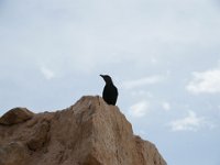 Israel030