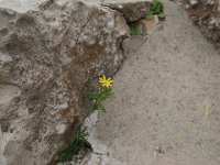 Israel107