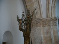Israel116