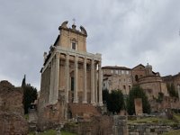 Roma-M55