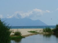 Sarti010