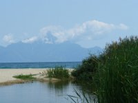 Sarti013