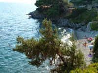 Sarti145