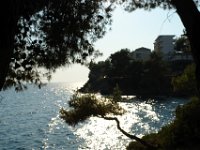Sarti148