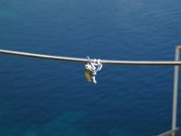 Skiathos119
